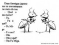 /album/galeria-de-fotos/dfumi-jpeg/